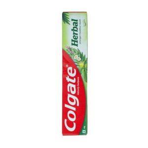 Colgate Herbal Toothpaste 100gm